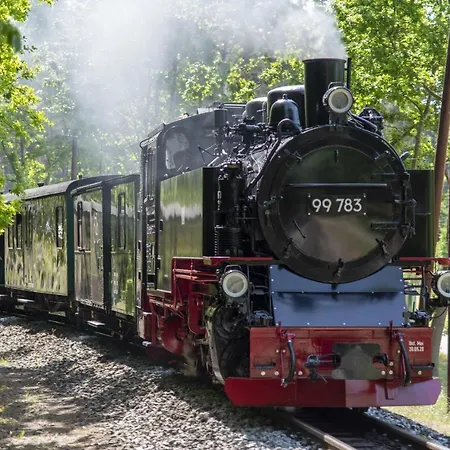 別荘 Strandhaus Ruegen - Meerblick, Sauna, Kamin & Whirlpool