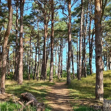 Strandhaus Ruegen - Meerblick, Sauna, Kamin & Whirlpool 別荘 *