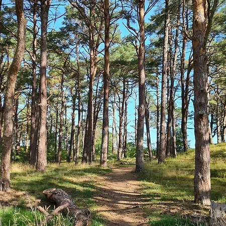 Strandhaus Ruegen - Meerblick, Sauna, Kamin & Whirlpool Дом отдыха *