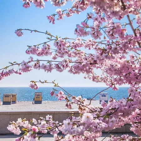 別荘 Strandhaus Ruegen - Meerblick, Sauna, Kamin & Whirlpool *