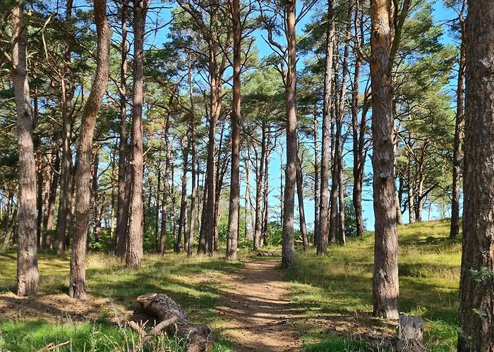 Strandhaus Ruegen - Meerblick, Sauna, Kamin & Whirlpool Tatil Evi *