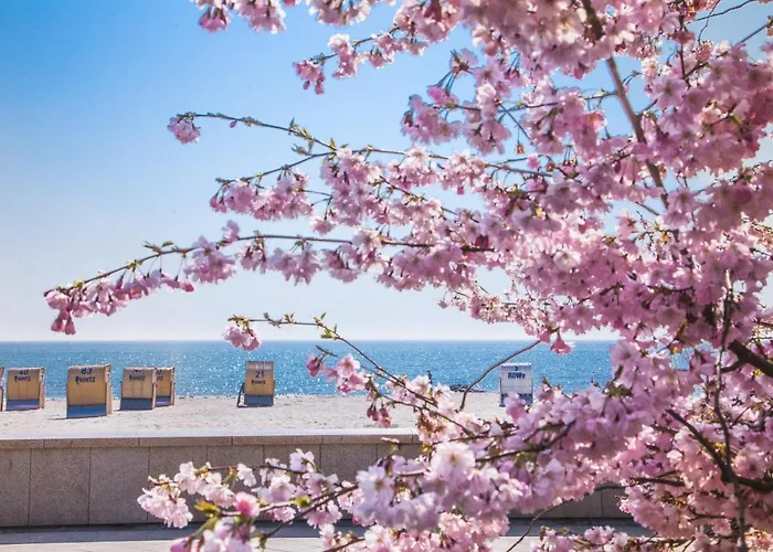 Tatil Evi Strandhaus Ruegen - Meerblick, Sauna, Kamin & Whirlpool *