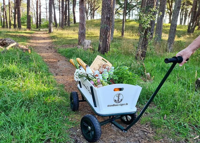 Strandhaus Ruegen - Meerblick, Sauna, Kamin & Whirlpool Tatil Evi Baabe